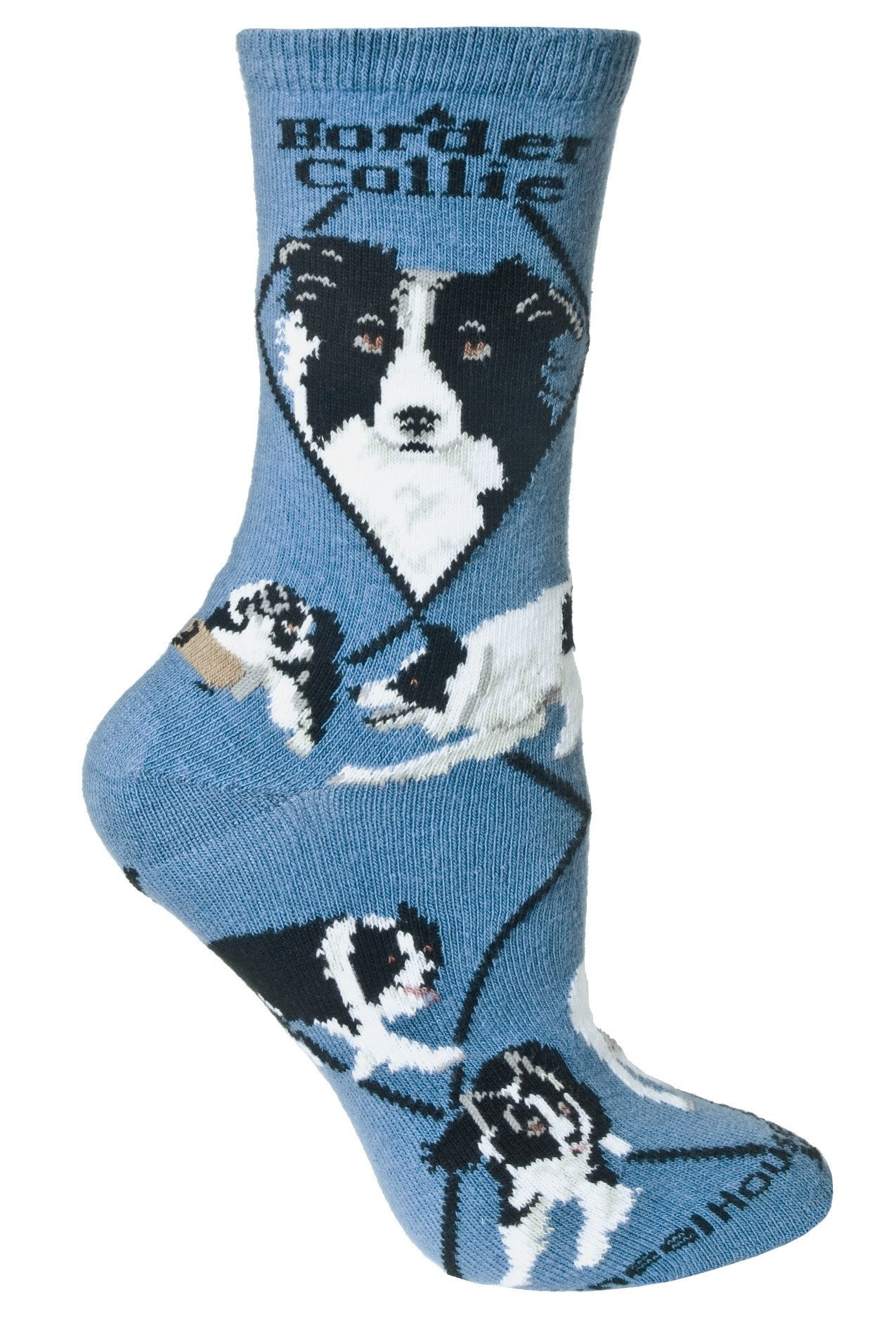 Border Collie Sock on Blue Size 9-11