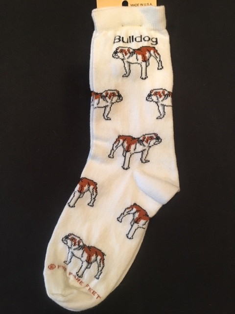 Bulldog Sock on White Size 6-11