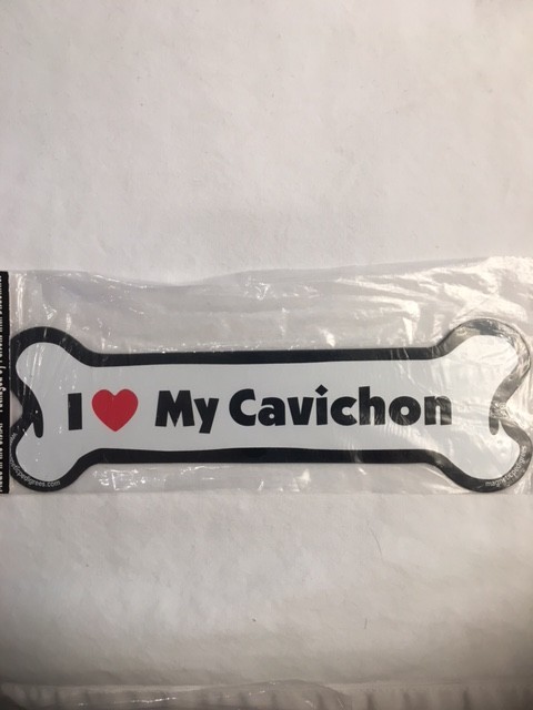 Z I love my Cavichon Magnet