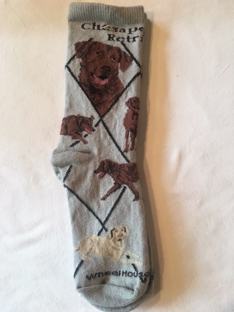 Chesapeake Bay Retriever Sock on Gray Size 9-11