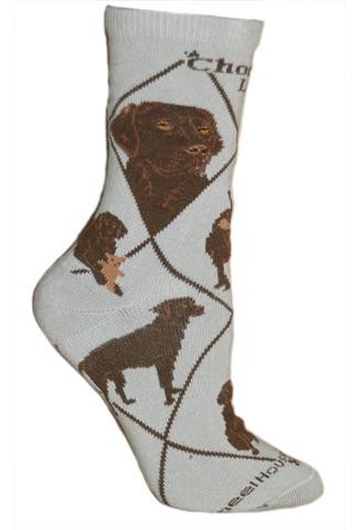 Lab, Chocolate Sock on Gray Size 10-13