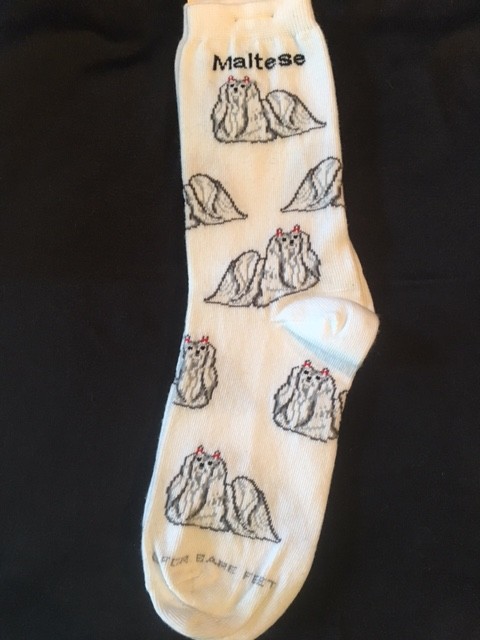 Maltese Sock on White Size 6-11