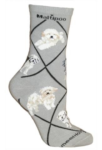 Maltipoo Sock on Gray Size 9-11