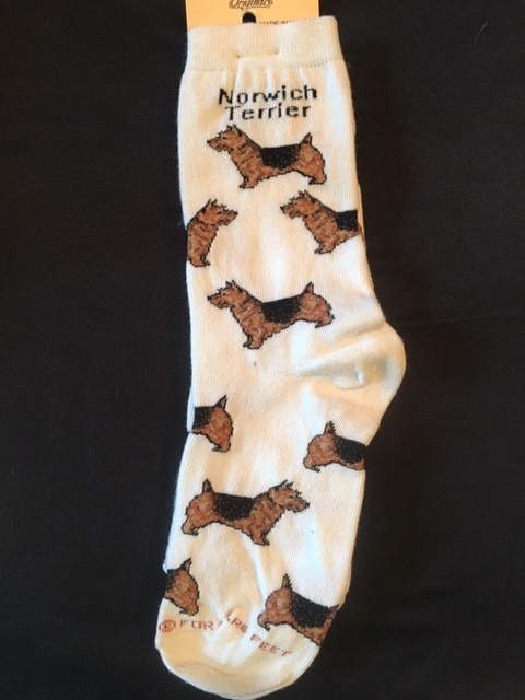 Norwich Terrier Sock on White Size 6-11