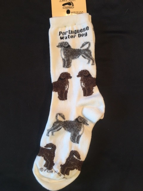 Portugese Water Dog Sock on White Size 6-11