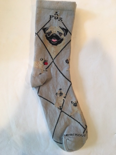 Pug, Fawn Sock on Gray Size 10-13