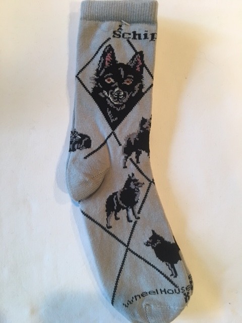 Schipperke Sock on Gray Size 9-11