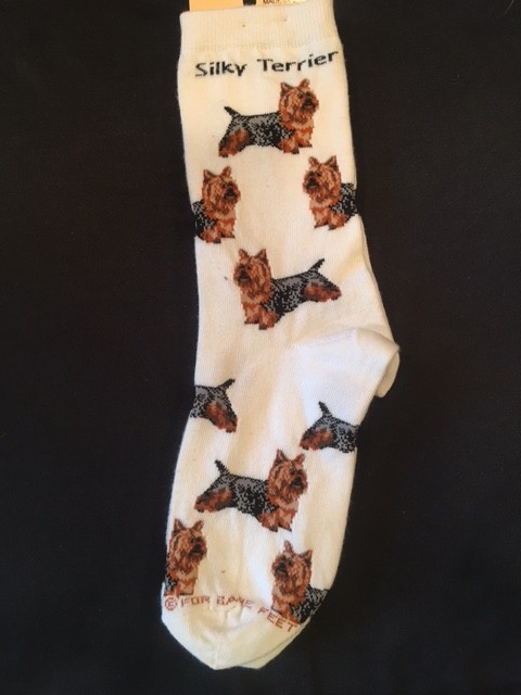 Silky Terrier Sock on White Size 6-11
