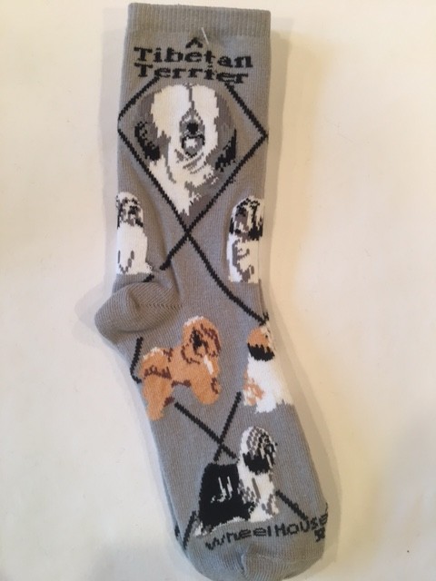 Tibeton Terrier Sock on Gray Size 9-11