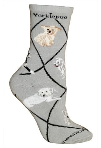 Yorkiepoo Sock on Gray Size 9-11