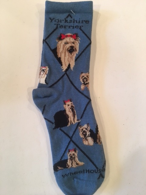 Yorkshire Terrier Sock on Blue Size 9-11