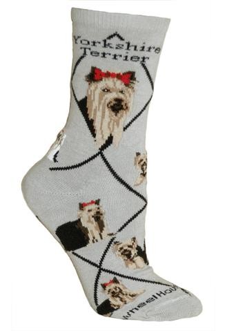 Yorkshire Terrier Sock on Gray Size 9-11