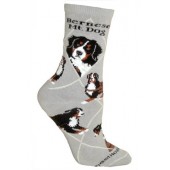 Bernese Mtn Dog Sock on Gray Size 9-11