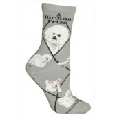 Bichon Frise Sock on Gray Size 9-11