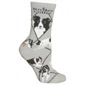 Border Collie Sock on Gray Size 10-13