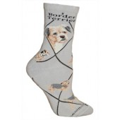 Border Terrier Sock on Gray Size 9-11