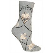 Cairin Terrier Sock on Gray Size 9-11