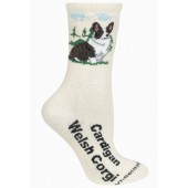 Corgi, Welsh Cardigan Sock on Natural Size 9-11