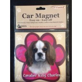 Cavalier King Charles Magnet