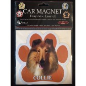 Collie Magnet