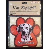 Dalmatian Magnet
