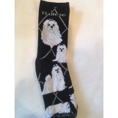 Maltese Sock on Black Size 9-11