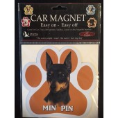 Min Pin Magnet