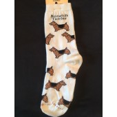 Norwich Terrier Sock on White Size 6-11