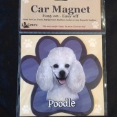 Poodle White Magnet