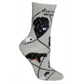 Portuguese Water Dog Sock on Gray Size 10-13