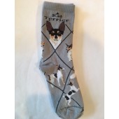 Rat Terrier Sock on Gray Size 9-11