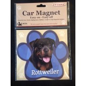 Rottweiler Magnet