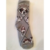 Saint Bernard Sock on Gray Size 9-11