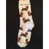 Silky Terrier Sock on White Size 6-11