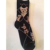 Yorkie, Puppy Cut, Sock on Black Size 9-11