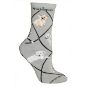 Yorkiepoo Sock on Gray Size 9-11