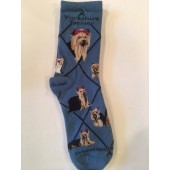 Yorkshire Terrier Sock on Blue Size 9-11